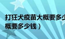 打狂犬疫苗大概要多少钱一针（打狂犬疫苗大概要多少钱）