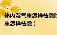 体内湿气重怎样祛除吃什么中成药（体内湿气重怎样祛除）