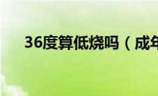 36度算低烧吗（成年人36度是低烧吗）