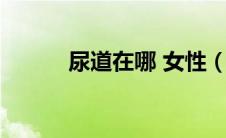 尿道在哪 女性（女性尿道在哪）