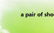 a pair of shoes(a pair of)
