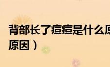 背部长了痘痘是什么原因（背部长痘痘有哪些原因）