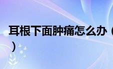 耳根下面肿痛怎么办（耳根下面肿痛怎么回事）