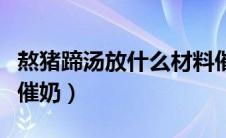 熬猪蹄汤放什么材料催奶（为什么猪蹄汤可以催奶）