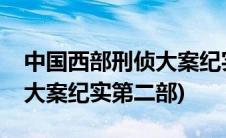 中国西部刑侦大案纪实第二部(中国西部刑侦大案纪实第二部)
