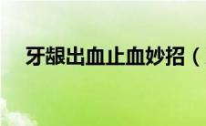 牙龈出血止血妙招（牙龈出血止血方法）