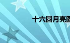 十六圆月亮图片(十六圆)