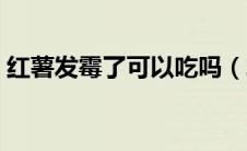 红薯发霉了可以吃吗（发霉的红薯还能吃吗）