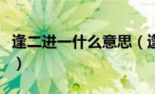 逢二进一什么意思（逢二进一什么意思是什么）