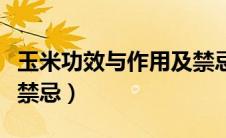 玉米功效与作用及禁忌症（玉米功效与作用及禁忌）