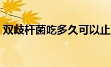 双歧杆菌吃多久可以止泻（双歧杆菌吃多久）