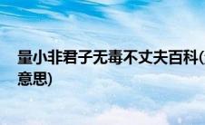 量小非君子无毒不丈夫百科(量小非君子 无毒不丈夫是什么意思)