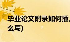 毕业论文附录如何插入问卷(毕业论文附录怎么写)