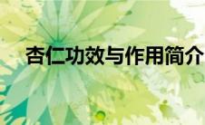 杏仁功效与作用简介（杏仁功效与作用）