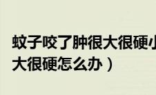 蚊子咬了肿很大很硬小妙招（毒蚊子咬了肿很大很硬怎么办）
