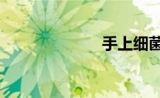 手上细菌的照片