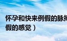 怀孕和快来例假的脉搏一样么（怀孕和快来例假的感觉）