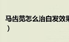 马齿苋怎么治白发效果好（马齿苋怎么治白发）