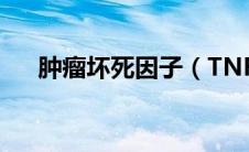 肿瘤坏死因子（TNF）与肿瘤免疫治疗