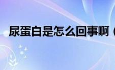 尿蛋白是怎么回事啊（尿蛋白是怎么回事）