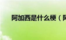 阿加西是什么梗（阿加西是什么意思）