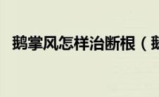 鹅掌风怎样治断根（鹅掌风怎么治能去根）