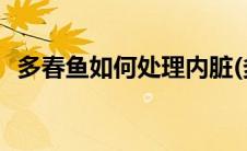 多春鱼如何处理内脏(多春鱼如何处理内脏)