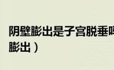 阴壁膨出是子宫脱垂吗（我有子宫脱垂阴道壁膨出）