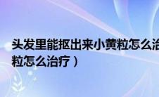 头发里能抠出来小黄粒怎么治疗图片（头发里能抠出来小黄粒怎么治疗）