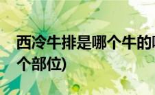 西冷牛排是哪个牛的哪个部分(西冷牛排是哪个部位)