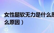 女性腿软无力是什么原因（女性腿软无力是什么原因）