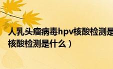 人乳头瘤病毒hpv核酸检测是怎么检查（人乳头瘤病毒HPV核酸检测是什么）