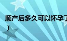 顺产后多久可以怀孕了（顺产后多久可以怀孕）