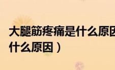 大腿筋疼痛是什么原因吃啥药（大腿筋疼痛是什么原因）