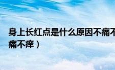身上长红点是什么原因不痛不痒（身上长红点是什么原因不痛不痒）