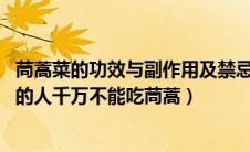 茼蒿菜的功效与副作用及禁忌（茼蒿有什么营养价值 什么样的人千万不能吃茼蒿）