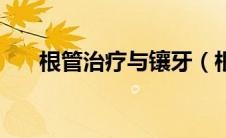 根管治疗与镶牙（根管治疗与做牙套）