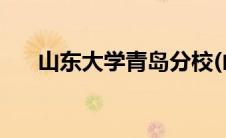山东大学青岛分校(山东大学青岛分校)