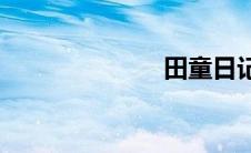 田童日记(田童)