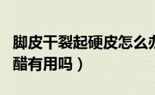 脚皮干裂起硬皮怎么办（脚底干裂起硬皮用白醋有用吗）