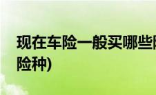 现在车险一般买哪些险种(一般车险都买哪些险种)