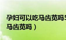 孕妇可以吃马齿苋吗5个月怀孕（孕妇可以吃马齿苋吗）