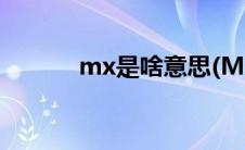 mx是啥意思(MXL是什么意思)