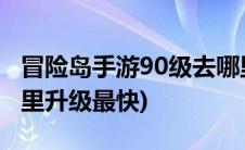 冒险岛手游90级去哪里升级(冒险岛90级到哪里升级最快)