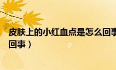 皮肤上的小红血点是怎么回事（皮肤有红色的小血点是怎么回事）