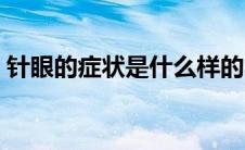 针眼的症状是什么样的（针眼的症状是什么）