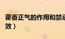 藿香正气的作用和禁忌（藿香正气的作用与功效）