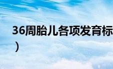 36周胎儿各项发育标准（36周胎儿发育标准）