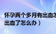 怀孕两个多月有出血怎么办（怀孕两个月同房出血了怎么办）