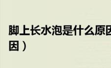 脚上长水泡是什么原因（脚上长水泡是什么原因）